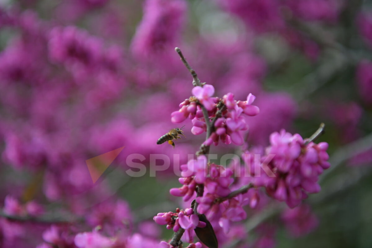 Фото © Sputnik, Томас Тхайцук