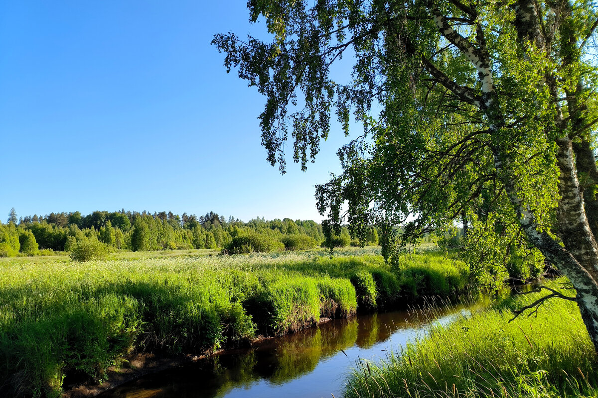 Фото: Maksim Konstantinov/Global Look Press