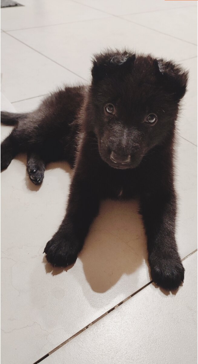 Причина моей бессонницы