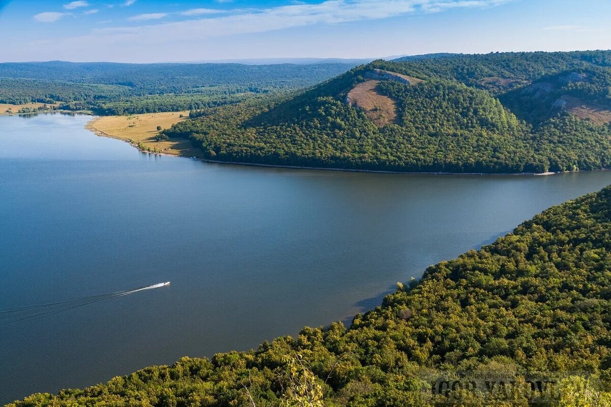  яндекс картинки