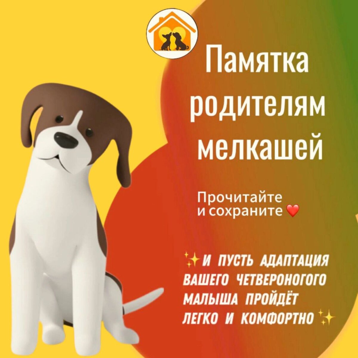 Адаптация собачки дома, что делать в первые дни🐶 | Домик Мелкашей - приют  маленьких собак | Дзен