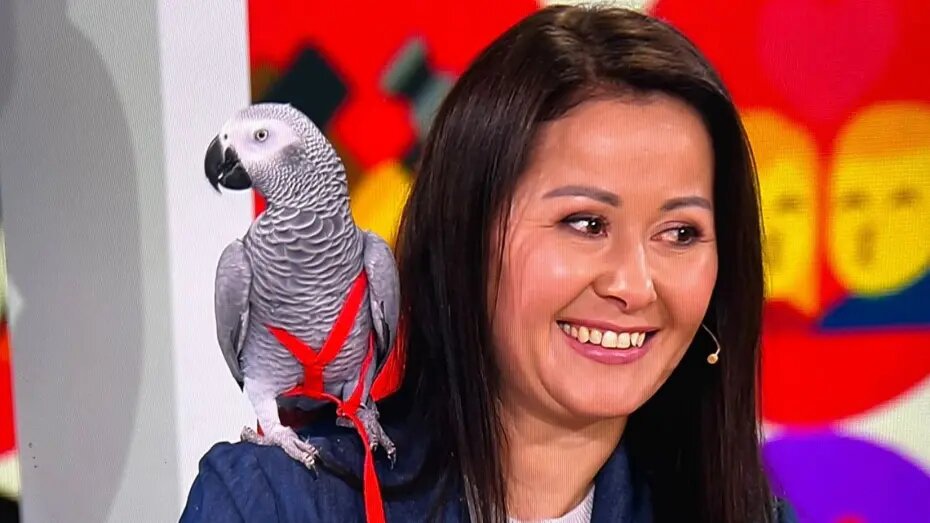    Автор фото: Ирина Кожанова