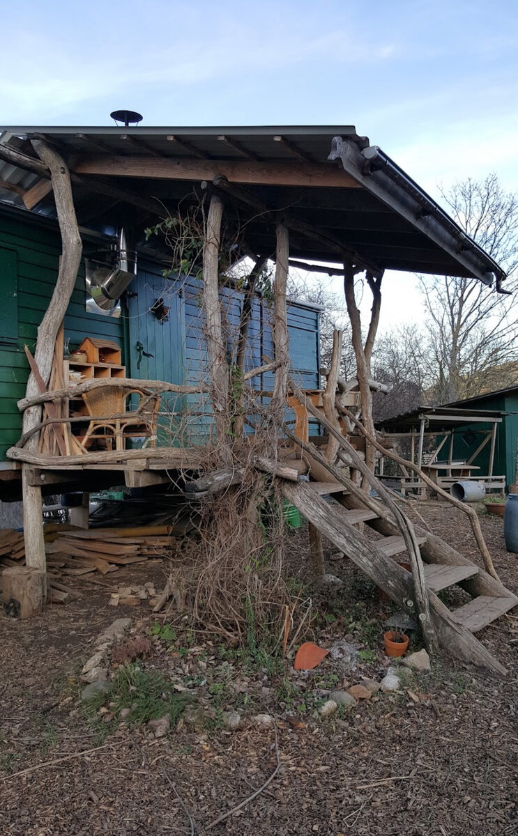 Лесной детский сад в Германии