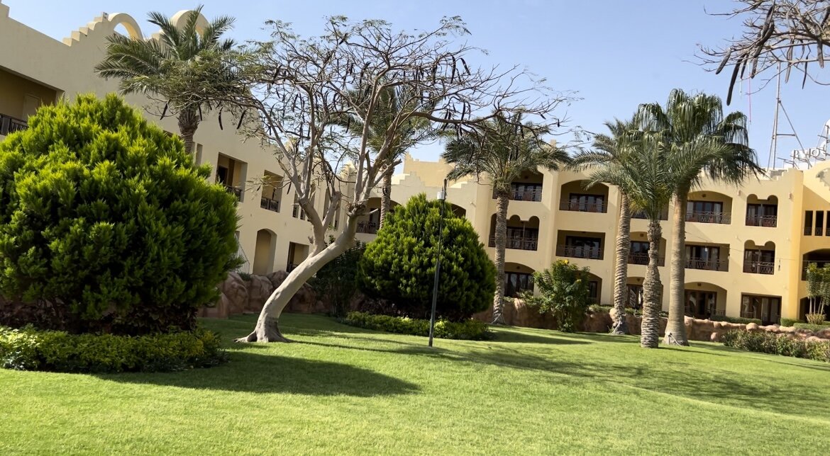 Наш отель Sunny Days Palma De Mirette