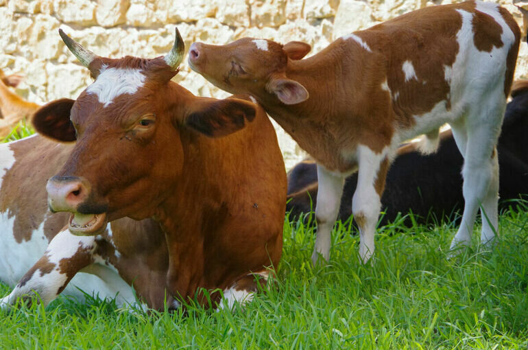  Игорь Самохвалов/ПГ
