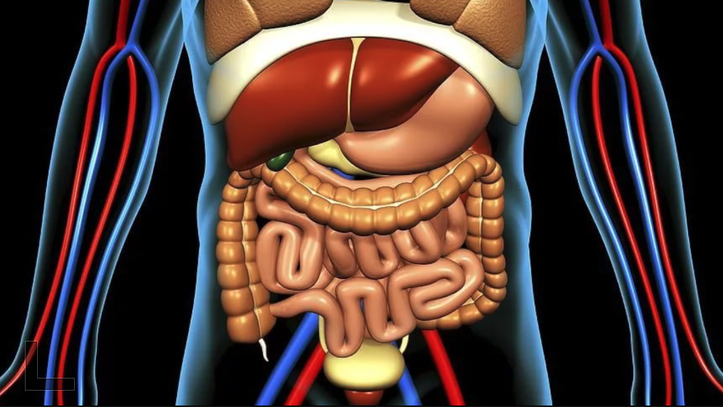 Потому что скрывает вот это вот всё!
