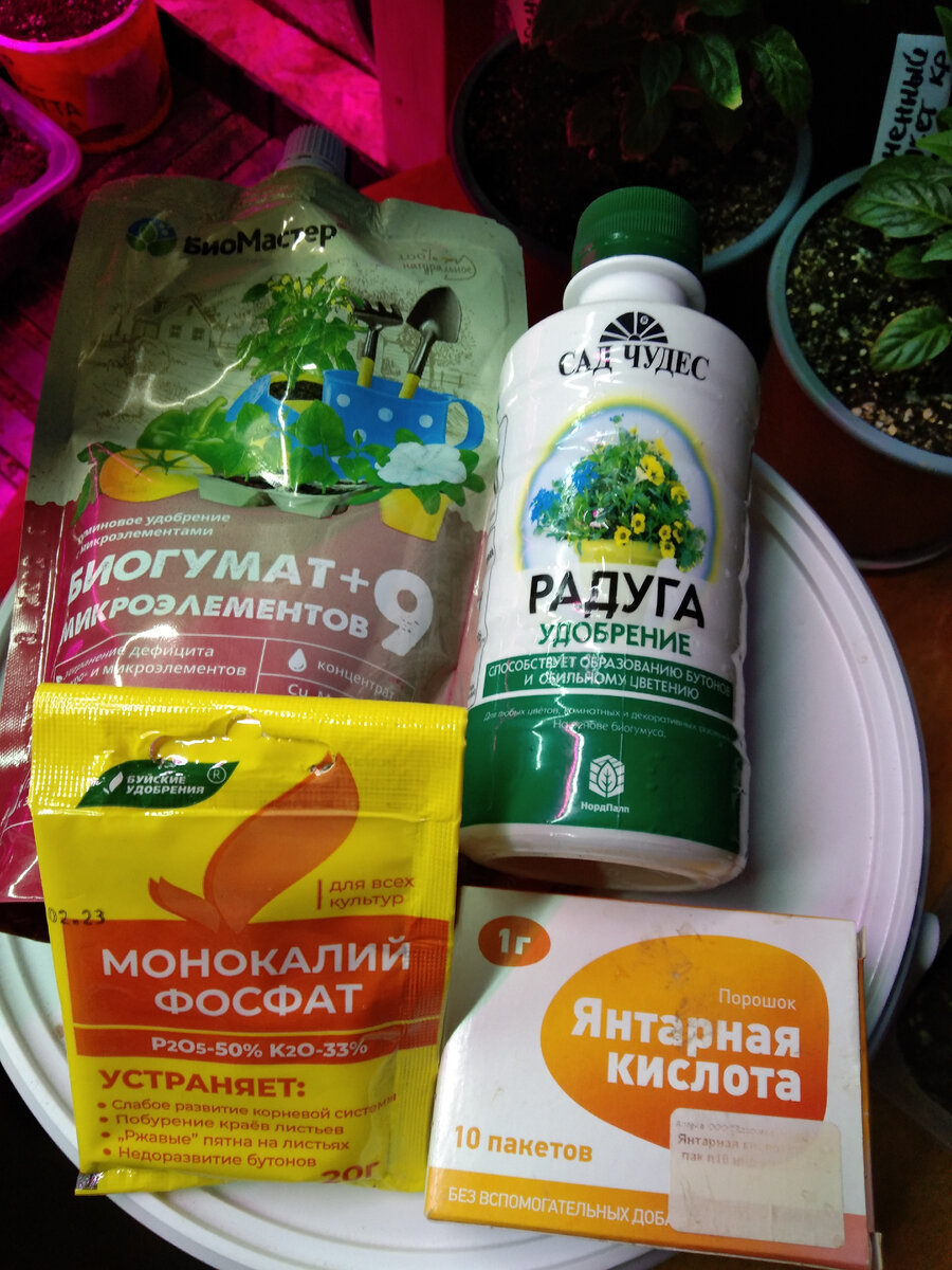 Что я ем на ПП.Третий день ВП.Хлеб. Мед.Киви.Квашеная капуста ...