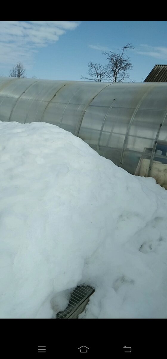 Что я ем на ПП.Третий день ВП.Хлеб. Мед.Киви.Квашеная капуста ...