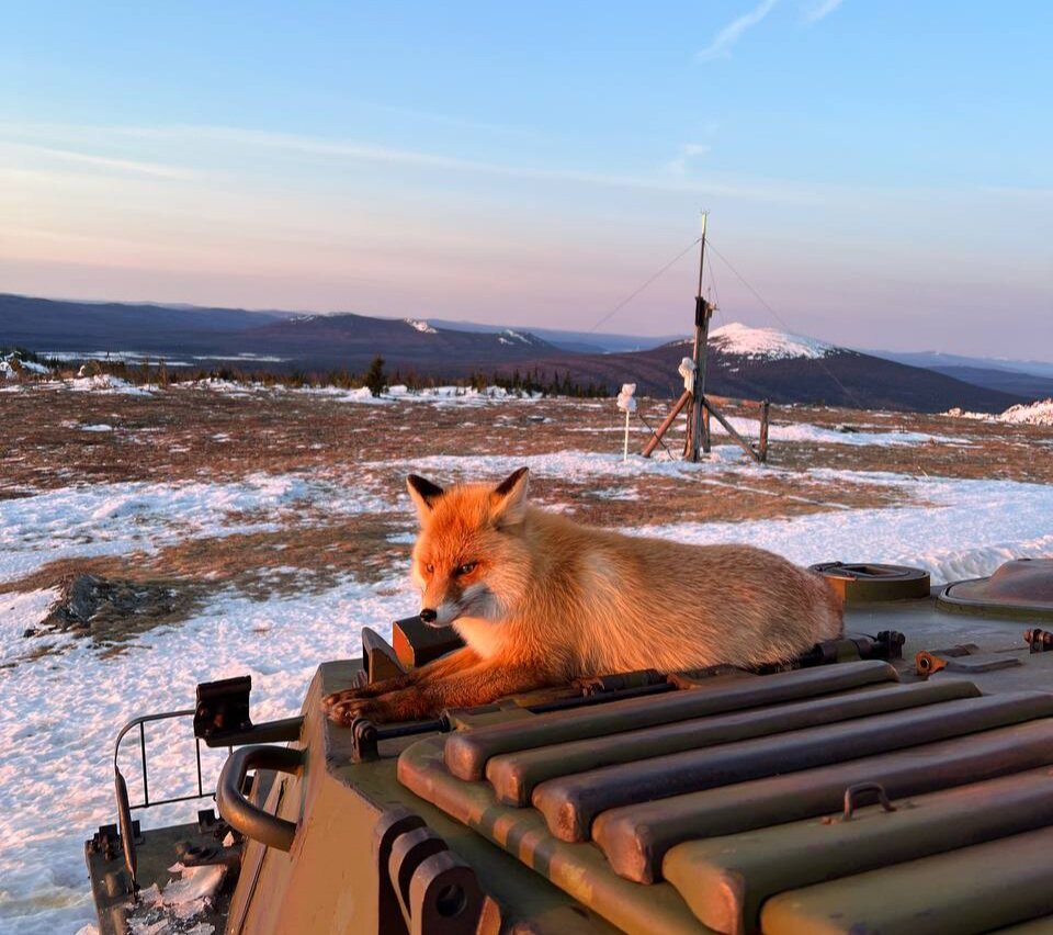 Метеостанция Таганай март 2024 Фото Юлии Сафоновой 
