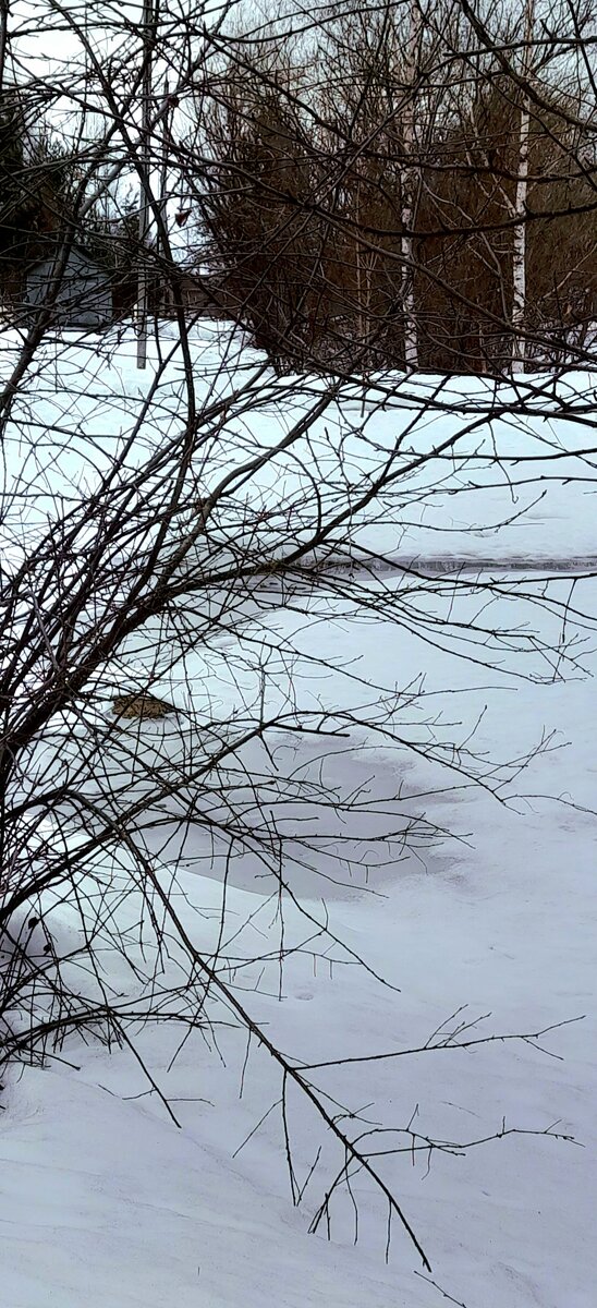 Высокие сугробы осели и напитались талыми водами, как губка... Если бы не ночные морозы - поплыли бы!