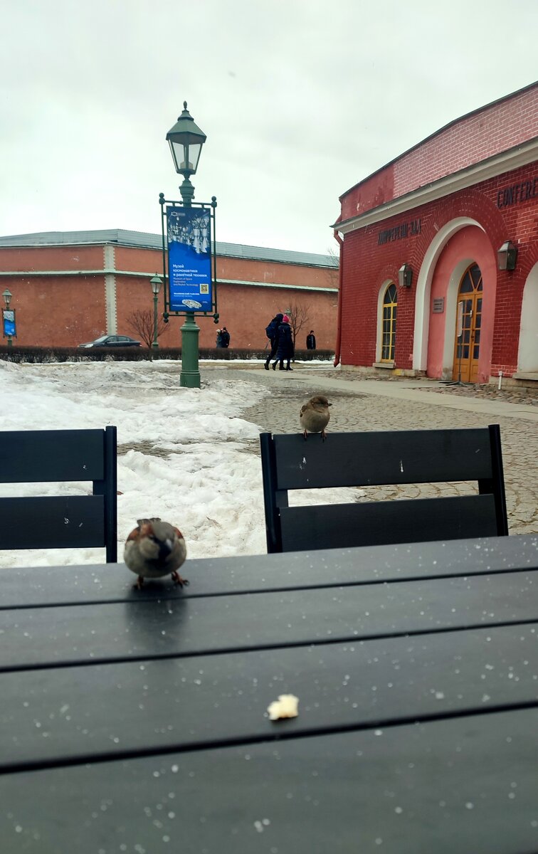 Выставки в Петропавловской крепости. Часть I | Солнце светит всем | Дзен