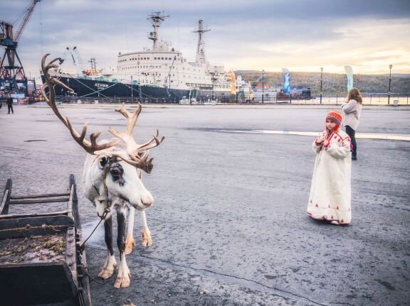 Северный олень и Северный Морской Путь
