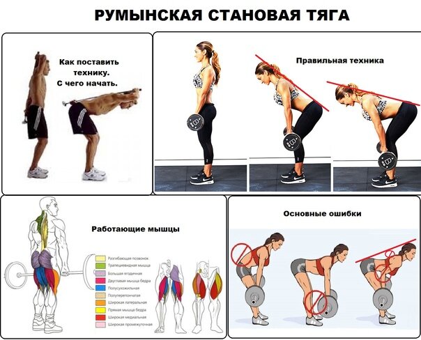 Чем заменить становую тягу в тренажерном зале