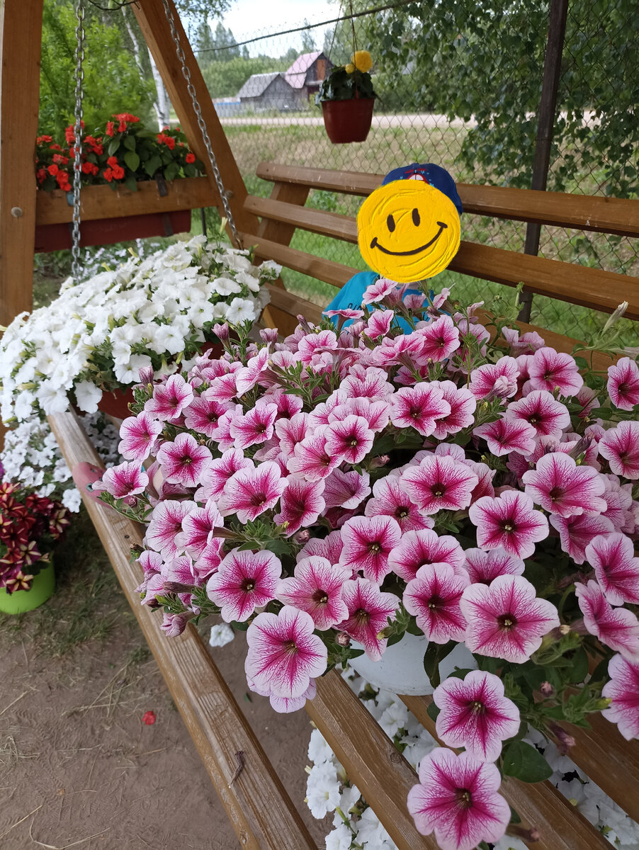 Петуния Опера Суприм