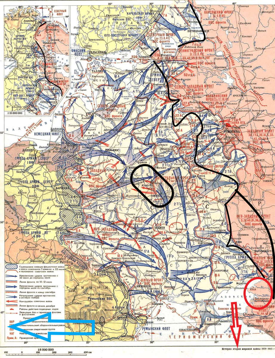 (Фото взято из открытых источников).