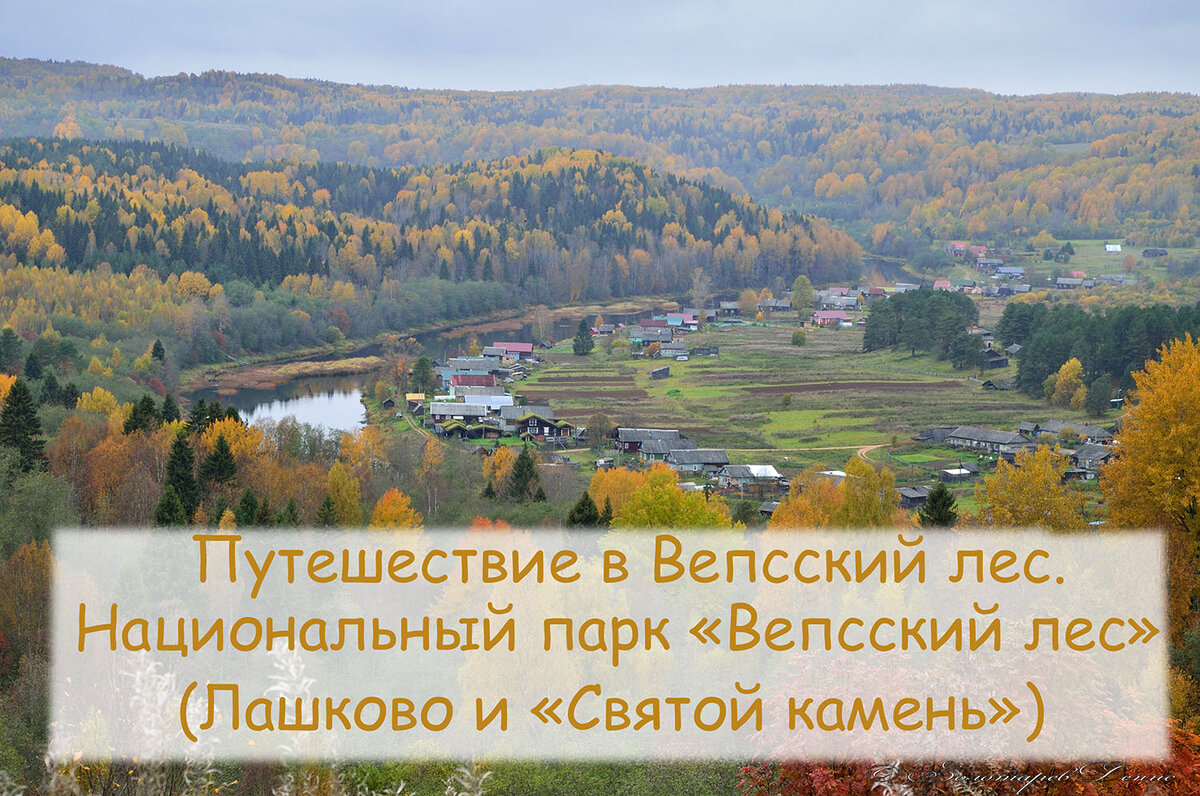 Вепсский лес - или путешествие по межозерью. Часть 7 - НП Вепсский лес  (Лашково и 