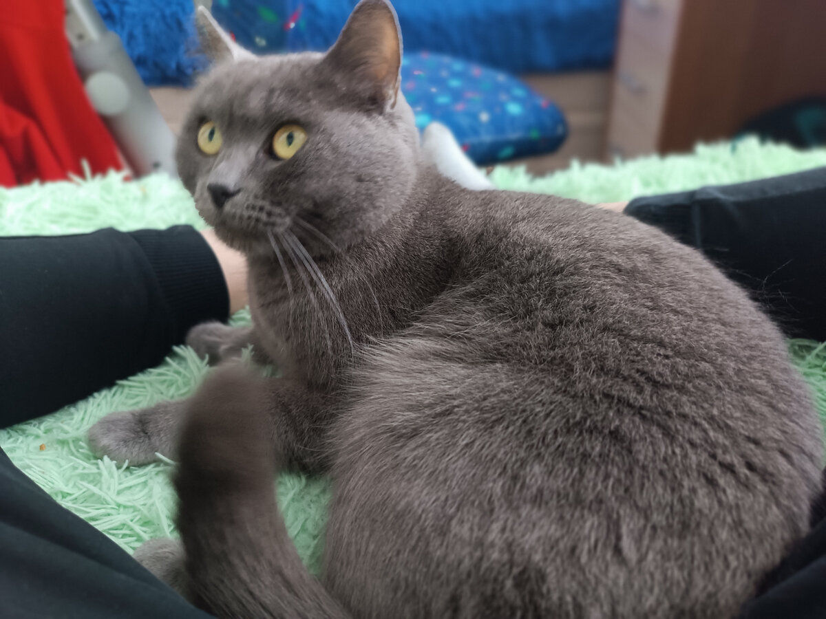 Это она. 😄😄😄😄😄😄😄😄😄😄😄