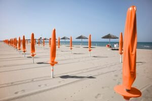    Фото: freepik.com writ3