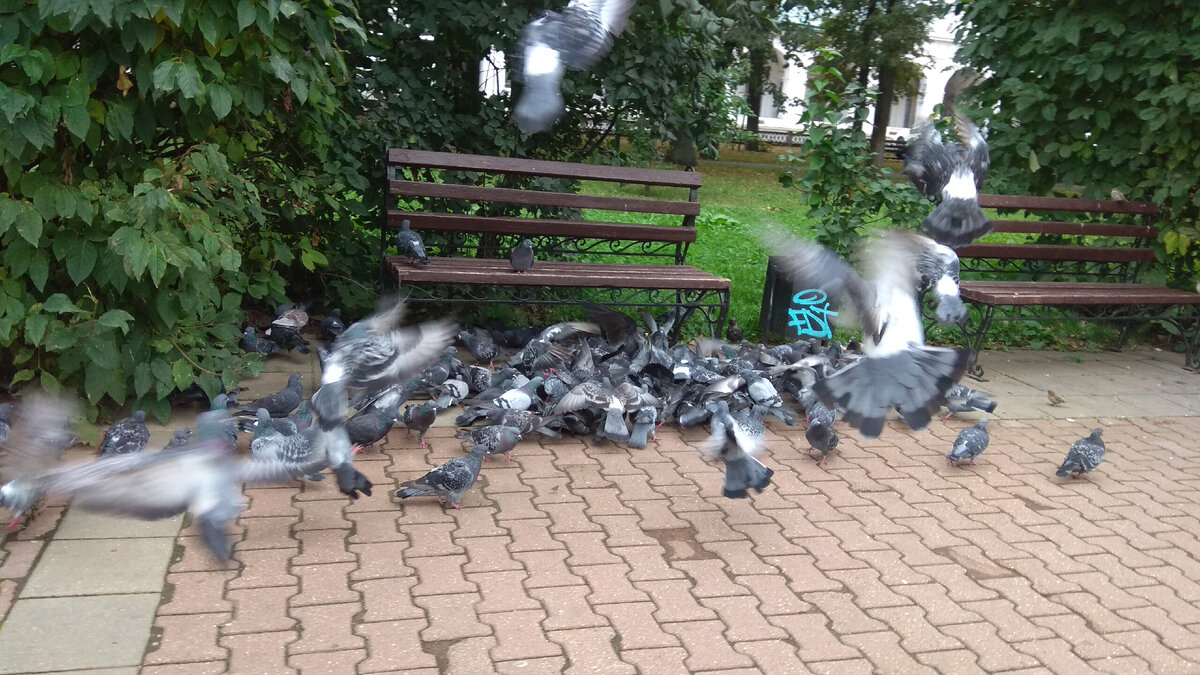 Это другое место.