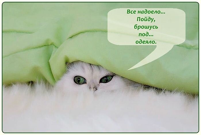 Изображение взято из открытых источников Яндекс Картинки