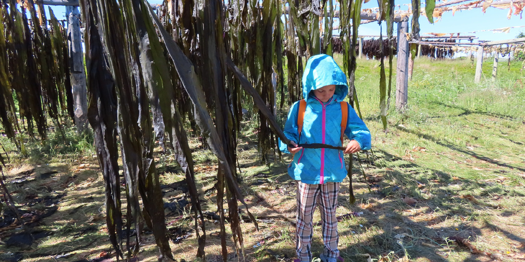 Что я хотела узнать о Соловках больше всего? Ответы искала не в путеводителе