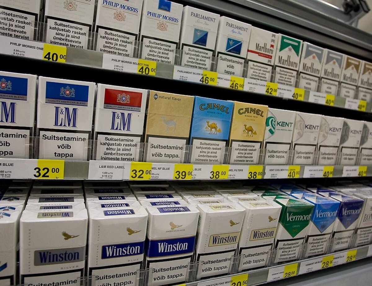 у меня была какая то тактика. самые больные места для татуировок для девушек. тату с именами детей для девушки. забавные тату. какая туту.