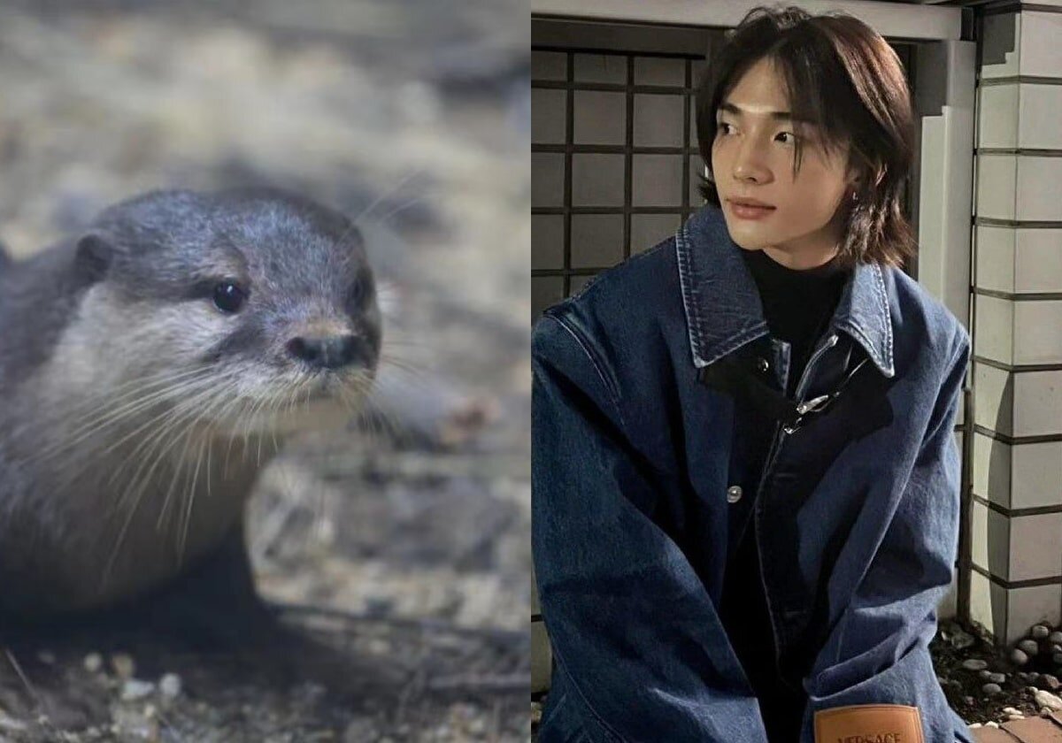    Одна из выдр лесного зоопарка Хуншань | @donatella_versace