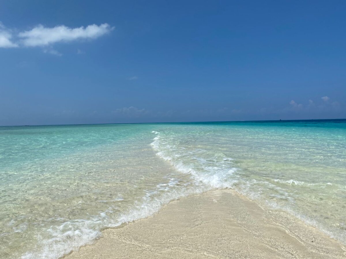 Nakupenda, Zanzibar