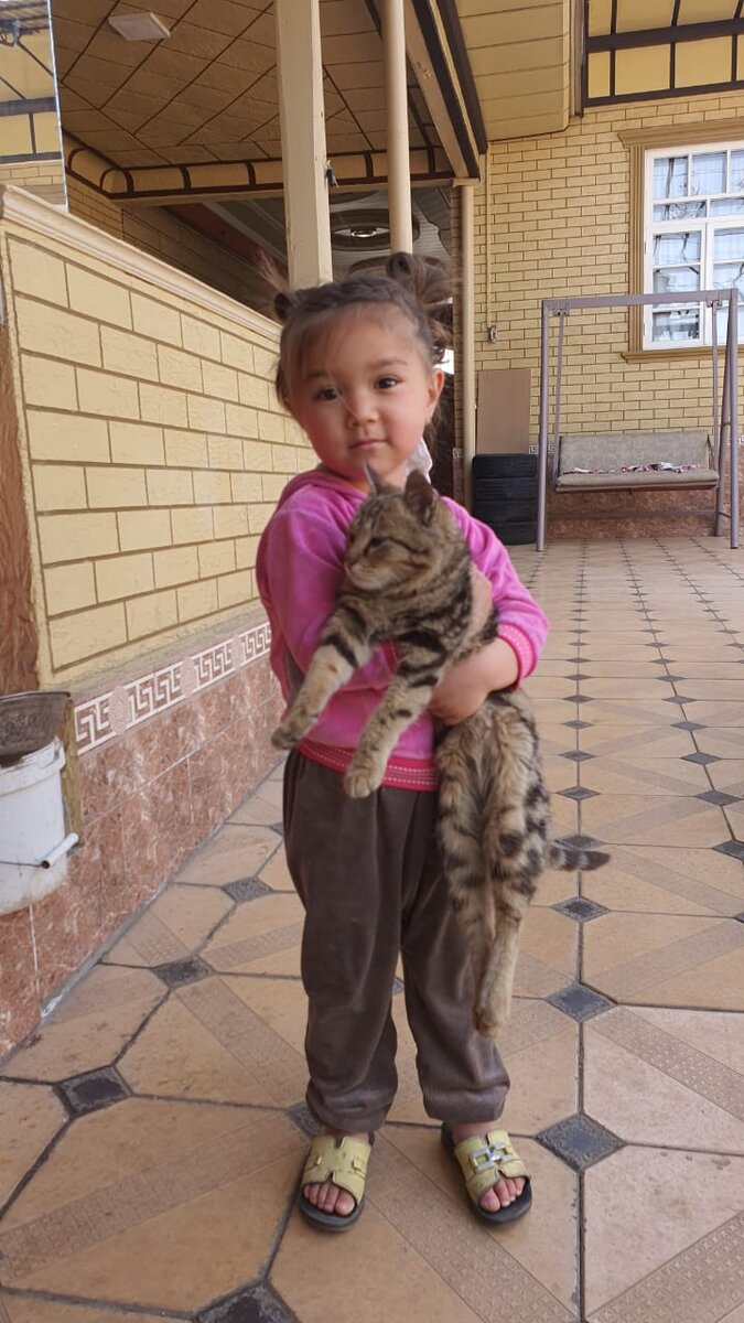 Не должно быть детей, которые не любят кошек, моя дочь любит кошек, собак и других существ.