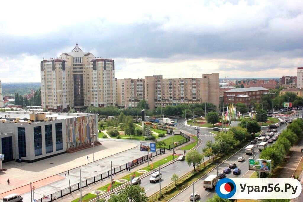    В Оренбурге ввели карантин по бешенству