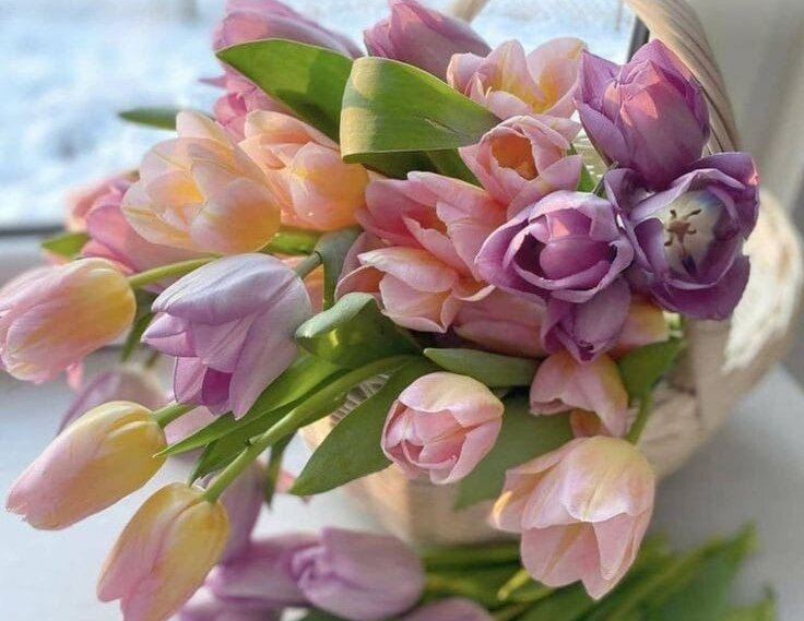 Фото из свободного доступа