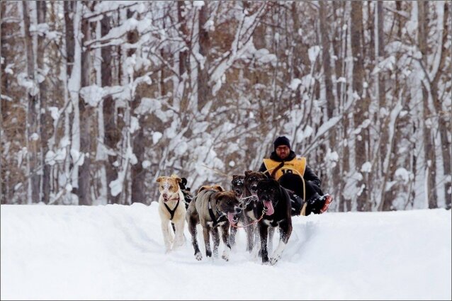    Фото: Правительство Камчатского края