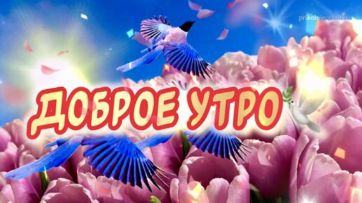 Открытки и С Добрым утром - пожелания, стихи