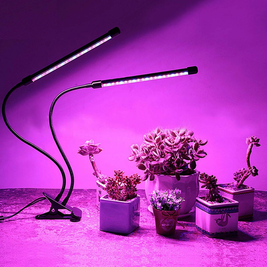 Летний сезон на даче – это время, когда каждый из нас стремится создать идеальные условия для отдыха и работы на природе.-2