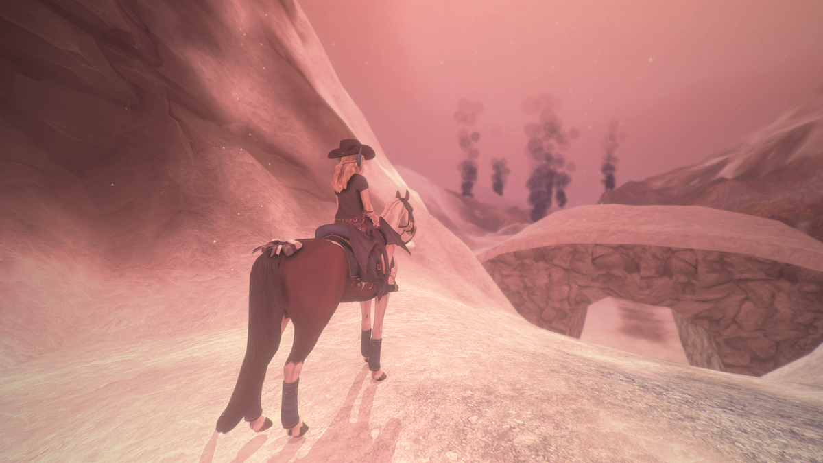 мой скриншот: Проход на Пепельные земли (запретка)