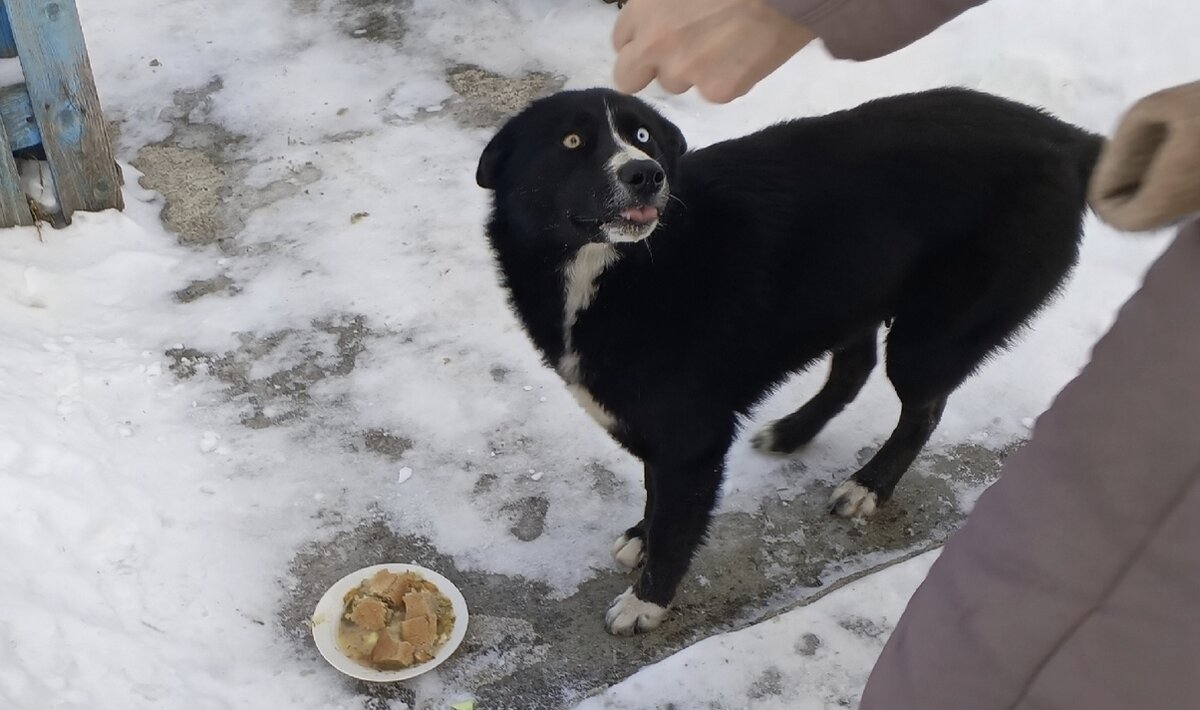 так как видели, что она кормящая мама.