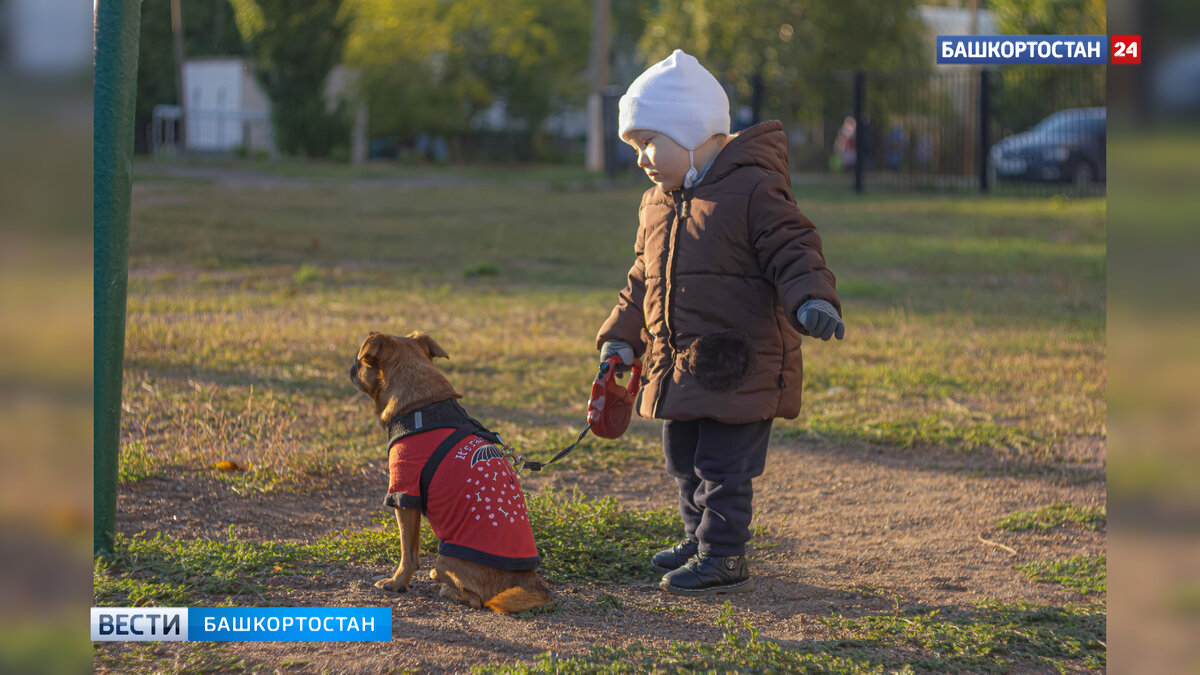    В апреле в Башкирии значительно увеличат штрафы за выгул собак без поводка и намордника