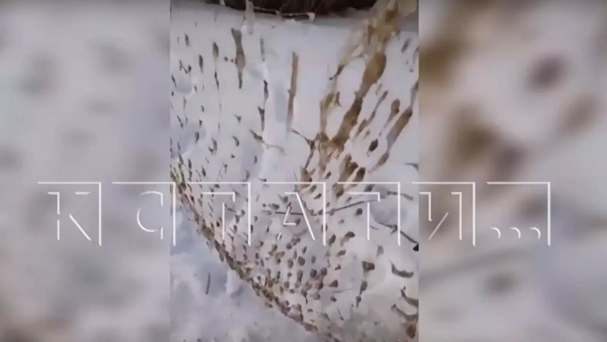     Рыбаки в Сергаче пожаловались, что патока с сахарного завода загрязняет реку Пьяну. По их словам, вместо рыбы они теперь вылавливают слизь со дна водоема. Об этом сообщает «Кстати».