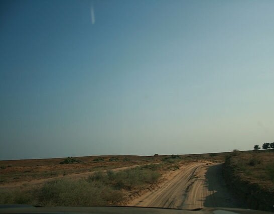 Степь, Астраханская область 