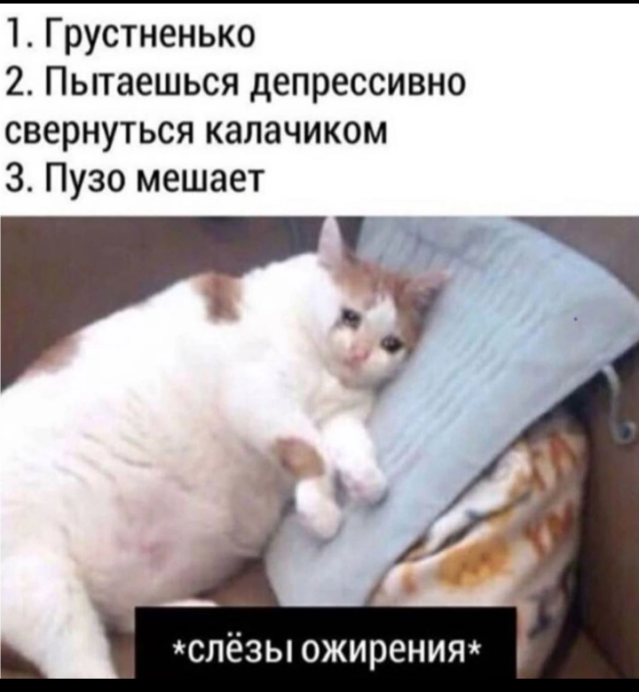 Почему 8 9. Международный женский день история. Почему 8 9. Международный женский деньтория. Почему 8 9.