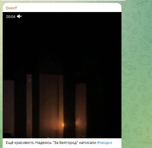    Фото: скриншот страницы Telegram/Donrf