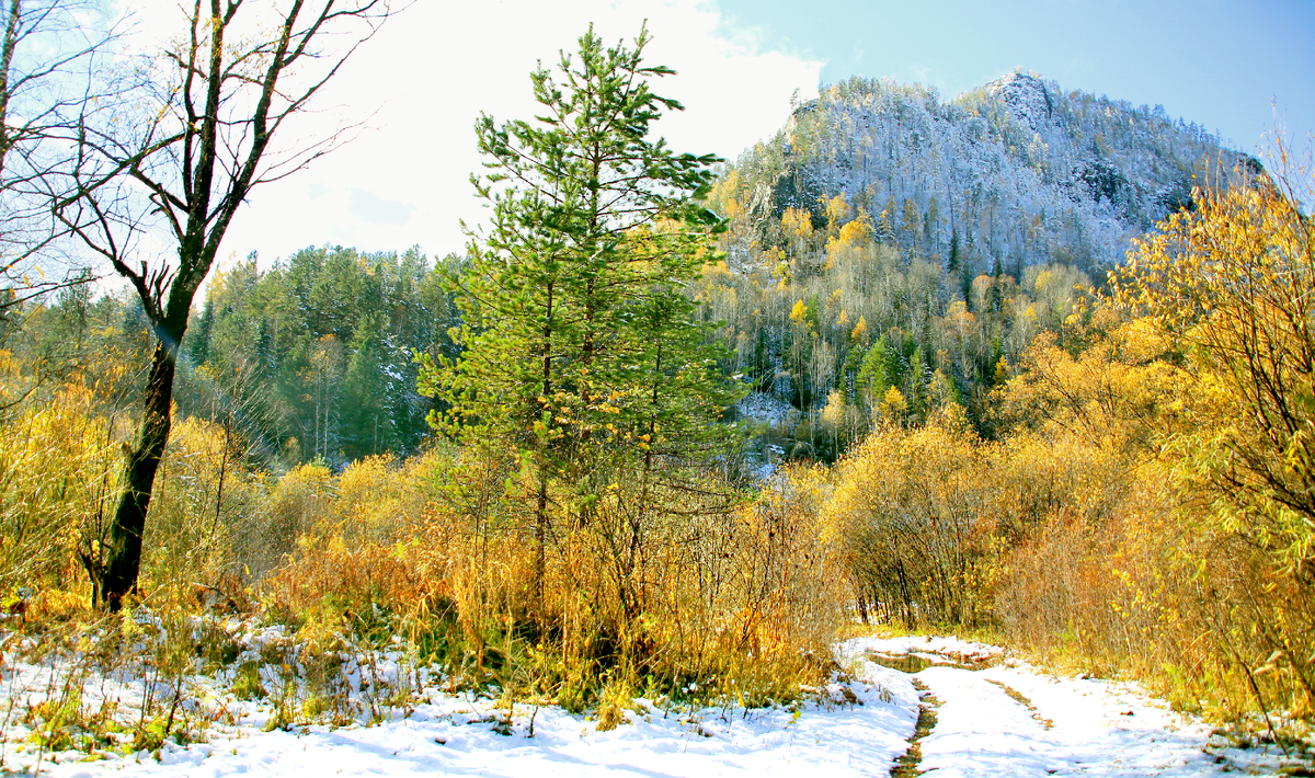 Фотография, стихотворение Василия Глуцкого
