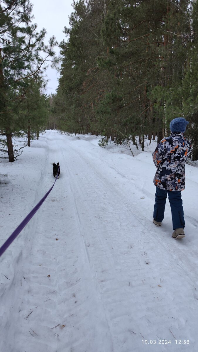 Рис. 2. Длинная прогулка