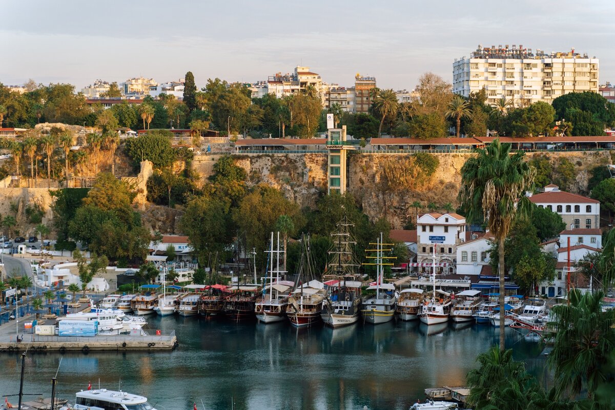 тут и далее фото автора