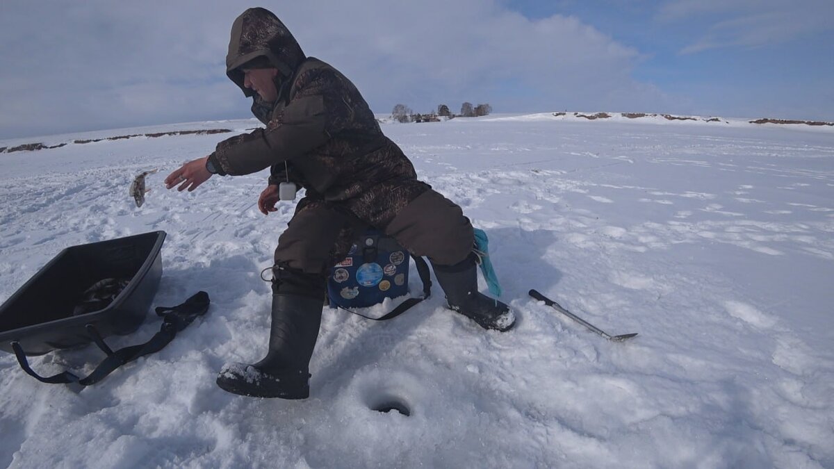 Очередной пошёл...