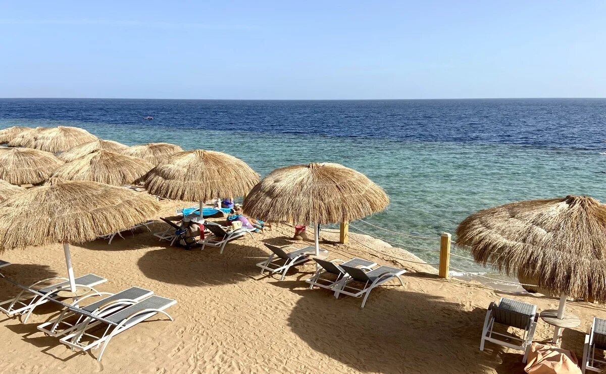    Из Калининграда в Египет полетят чартеры Coral Travel