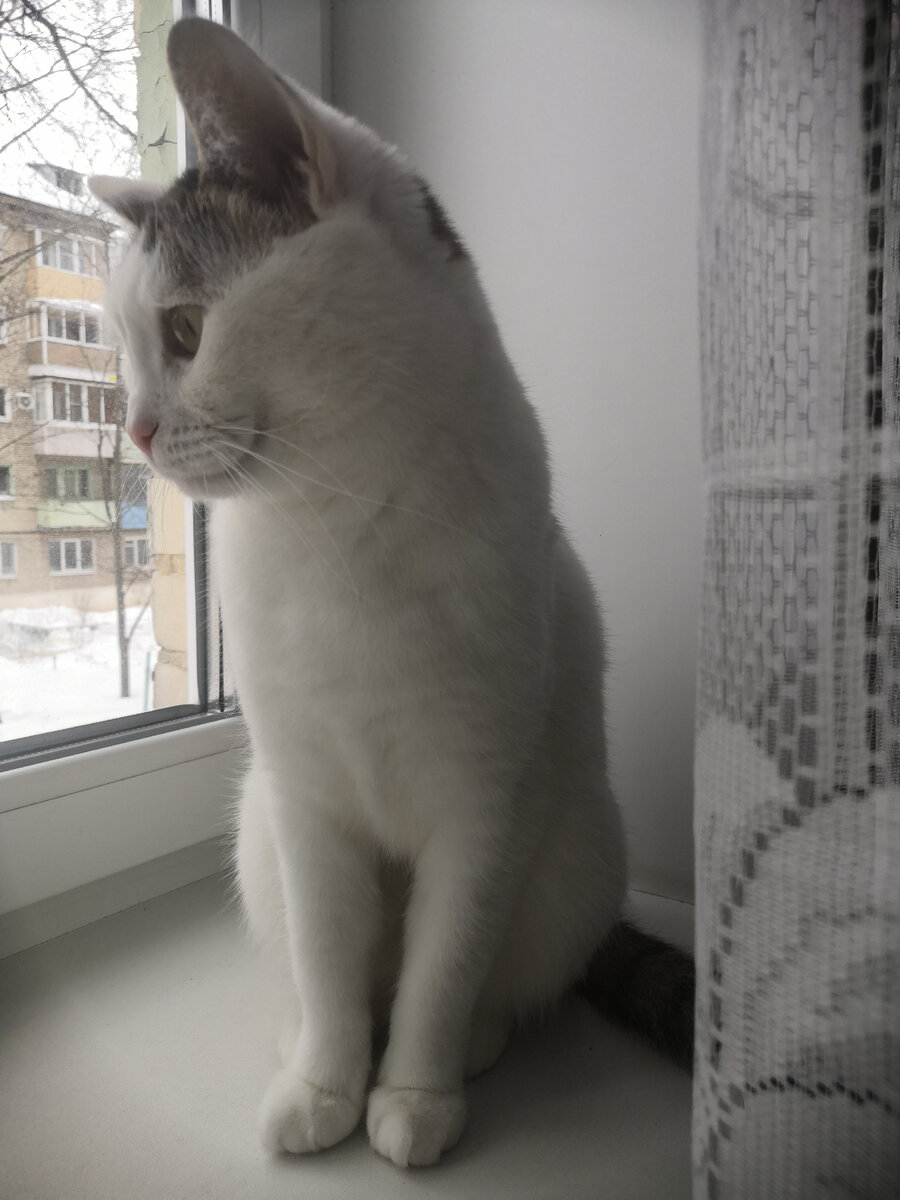 и там никого