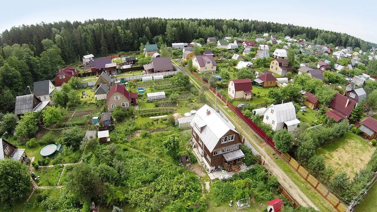    Фото: Shutterstock