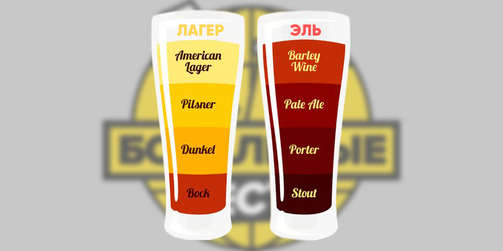 Это если оооочень коротко!