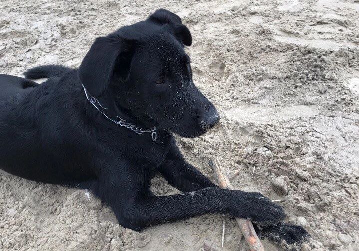 ИА SM.News Тюмень📷
